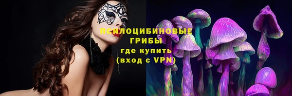 индика Алзамай