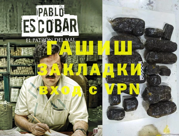 индика Алзамай