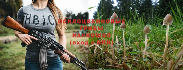 индика Алзамай